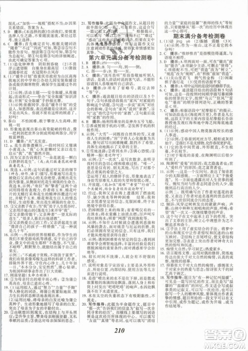 2019年全优课堂考点集训与满分备考七年级语文下册人教版答案
