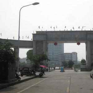 2020黑龙江高考文科504分可以报什么大学 504分左右的大学推荐