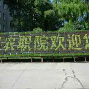 2020湖南高考文科355分可以报什么大学 355分左右的大学推荐