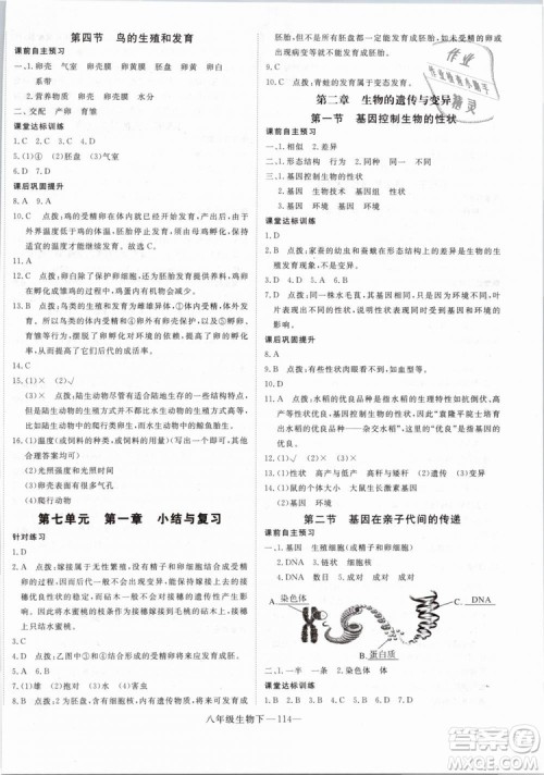 2019年优翼学练优学科思维训练法八年级生物下册RJ人教版参考答案