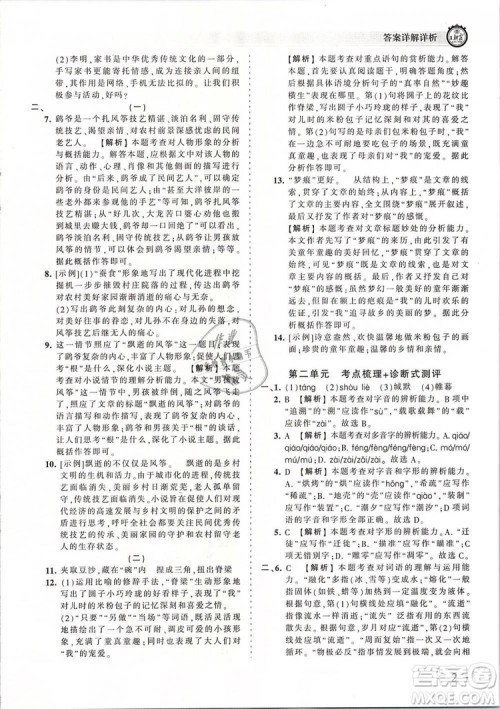 2019年王朝霞考点梳理时习卷八年级语文下册人教版参考答案 2019年王朝霞考点梳理时习卷八年级语文下册人教版参考答案