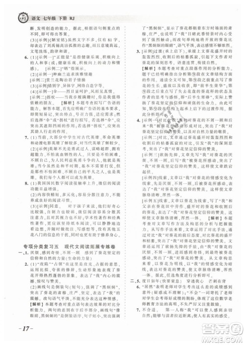 2019年王朝霞考点梳理时习卷七年级语文下册人教版参考答案