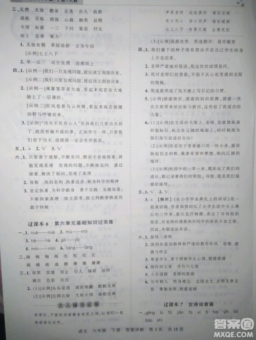 郑州都市版2019年王朝霞期末真题精编六年级语文下册人教版参考答案