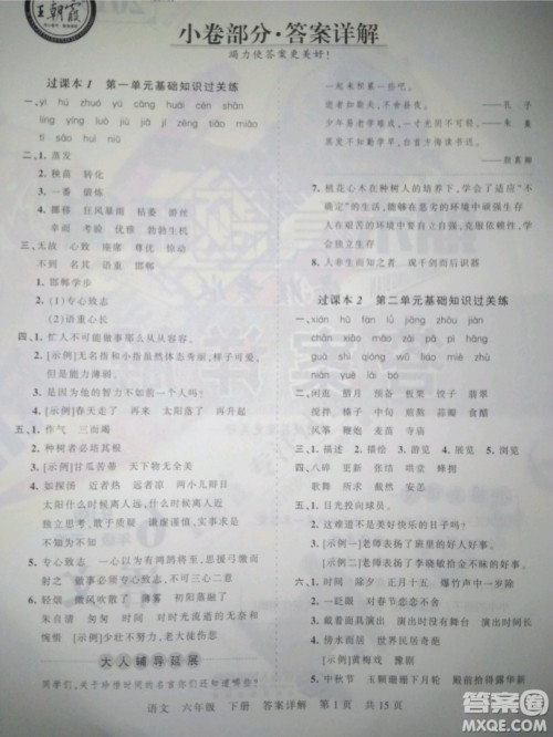 郑州都市版2019年王朝霞期末真题精编六年级语文下册人教版参考答案