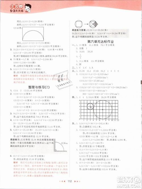 曲一线2019年53天天练五年级下册数学SJ苏教版参考答案
