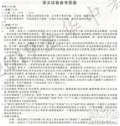 2019年浙江省金华市中考语文试卷真题及答案 2019年浙江省金华市中考语文试卷真题及答案