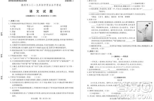2019德州中考语文试题及答案 2019德州中考语文试题及答案