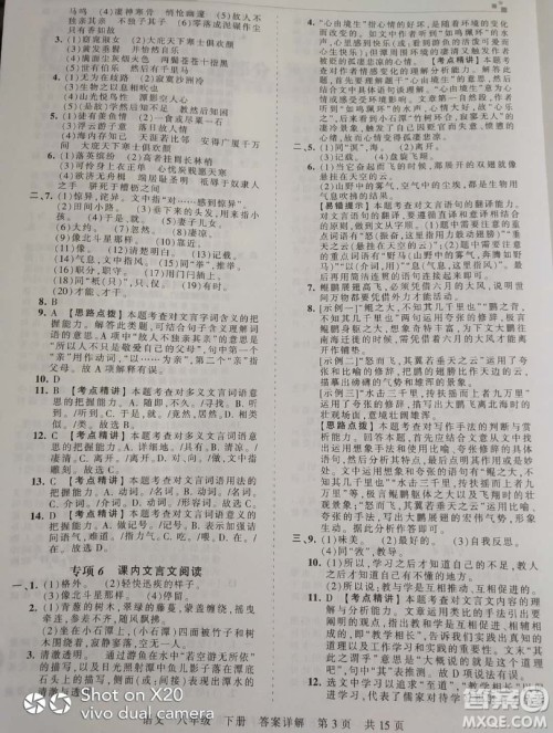 2019年王朝霞期末真题精编八年级语文下册人教版参考答案