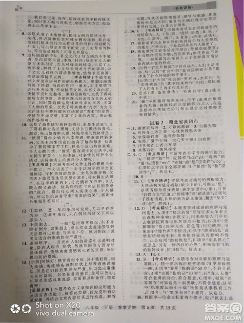 2019年王朝霞期末真题精编八年级语文下册人教版参考答案