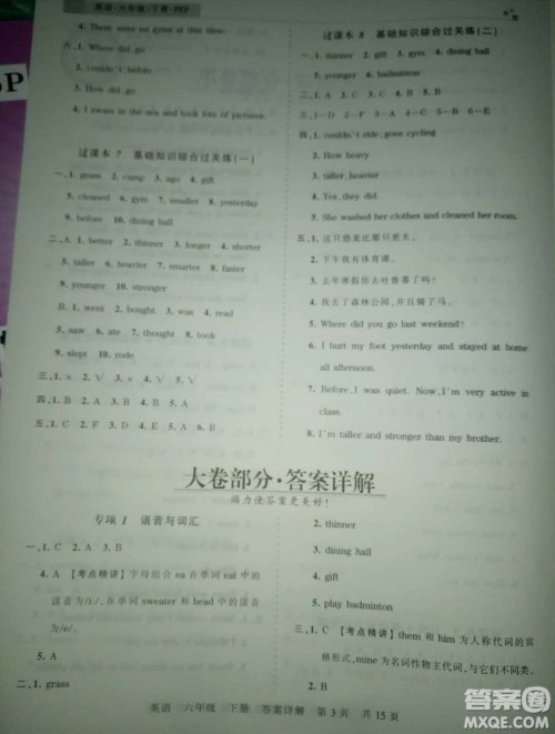 2019年王朝霞期末真题精编六年级英语下册人教PEP版参考答案