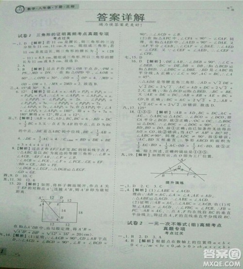 2019年北师大版王朝霞期末真题精编八年级数学下册参考答案