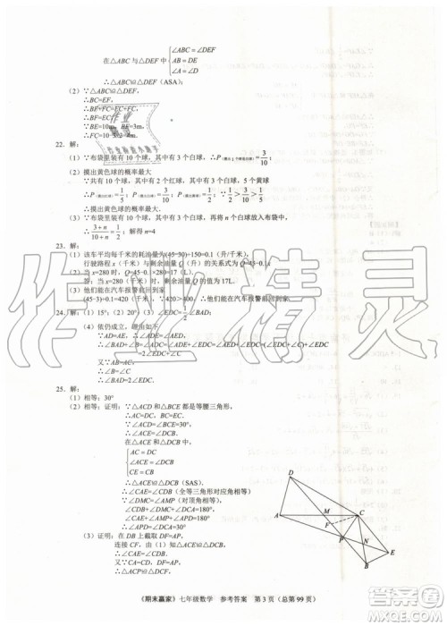 期末赢家2019年七年级数学下册济南地区专用参考答案