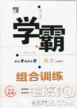经纶学典2019年学霸题中题组合训练语文七年级下册扬州专用参考答案
