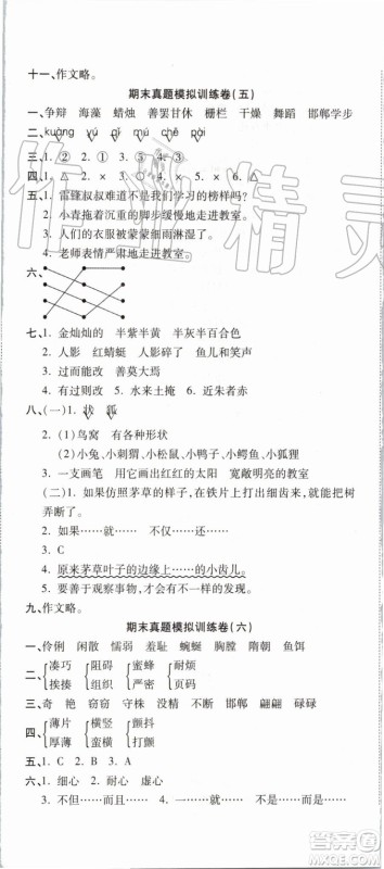 2019年全程无忧期末冲刺夺分卷三年级语文下册人教版参考答案 2019年全程无忧期末冲刺夺分卷三年级语文下册人教版参考答案