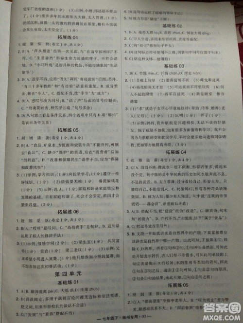 经纶学典2019年学霸题中题组合训练语文七年级下册扬州专用参考答案