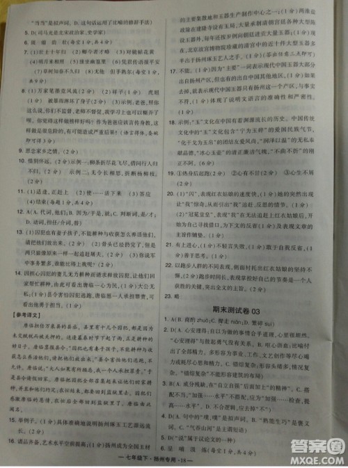 经纶学典2019年学霸题中题组合训练语文七年级下册扬州专用参考答案