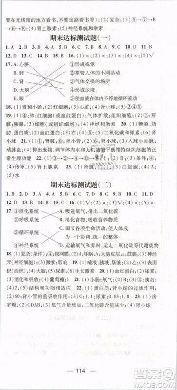 2019年名师测控七年级生物下册RJ人教版参考答案 2019年名师测控七年级生物下册RJ人教版参考答案