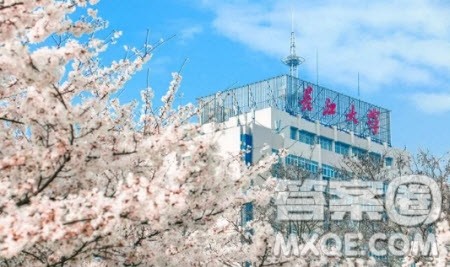 2020高考488分左右能上什么大学 488分文理科能报哪些学校 2020高考488分左右能上什么大学 488分文理科能报哪些学校