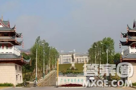 2020高考488分左右能上什么大学 488分文理科能报哪些学校 2020高考488分左右能上什么大学 488分文理科能报哪些学校