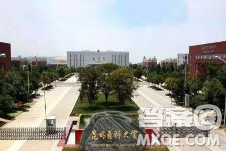 2020高考493分左右能上什么大学 493分文理科能报哪些学校 2020高考493分左右能上什么大学 493分文理科能报哪些学校