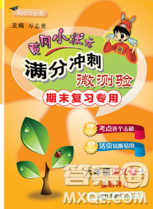 2019年黄冈小状元满分冲刺微测验期末复习专用六年级语文下册人教版答案