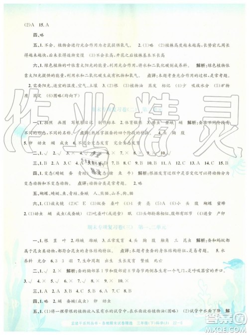 2019年孟建平各地期末试卷精选三年级科学下册教科版参考答案 2019年孟建平各地期末试卷精选三年级科学下册教科版参考答案