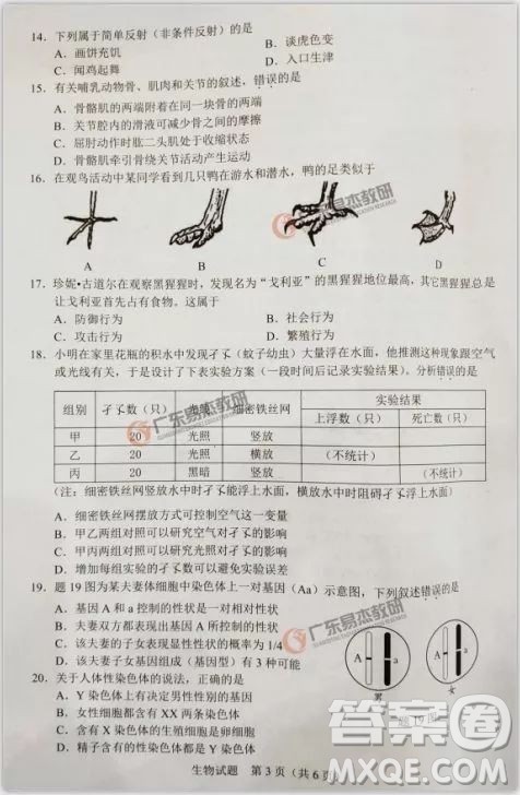 2019年广东中考生物试卷及参考答案