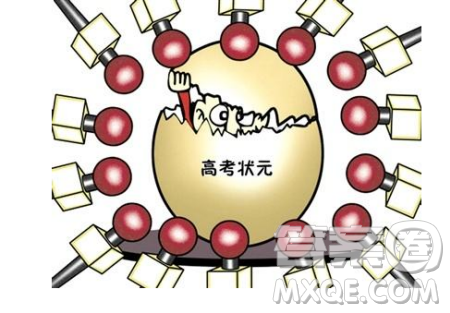 2020哪个省状元高考状元最牛 2020高考最牛考生是谁 2020哪个省状元高考状元最牛 2020高考最牛考生是谁