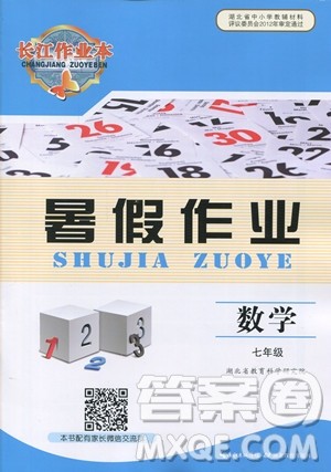 2019年长江作业本暑假作业初中七年级数学人教版参考答案