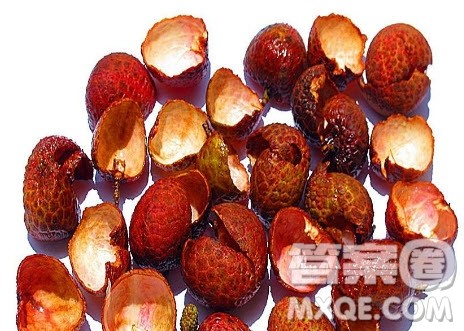 荔枝壳是什么垃圾 荔枝壳是干垃圾还是湿垃圾 荔枝壳是什么垃圾 荔枝壳是干垃圾还是湿垃圾