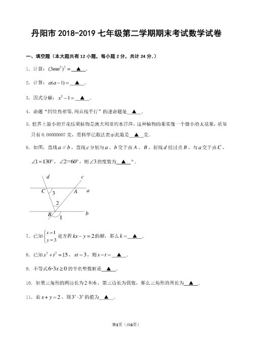 丹阳市2018-2019七年级第二学期期末考试数学试卷及答案