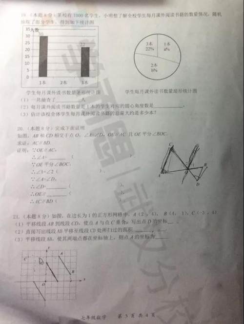 2019武汉市东湖高新区七年级期末考试数学试卷及答案