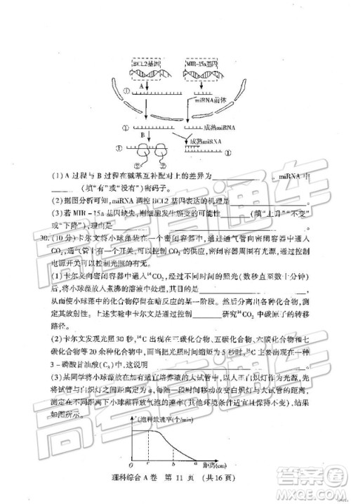 2019年高考模拟豫科名校大联考A卷文理综试题及答案 2019年高考模拟豫科名校大联考A卷文理综试题及答案
