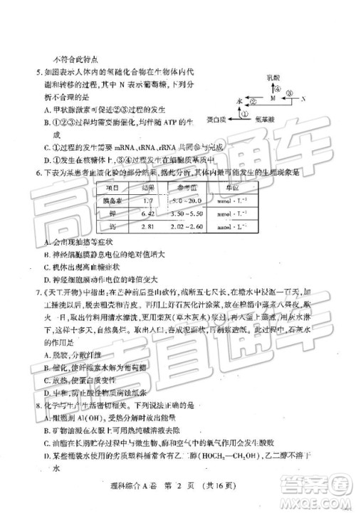 2019年高考模拟豫科名校大联考A卷文理综试题及答案 2019年高考模拟豫科名校大联考A卷文理综试题及答案