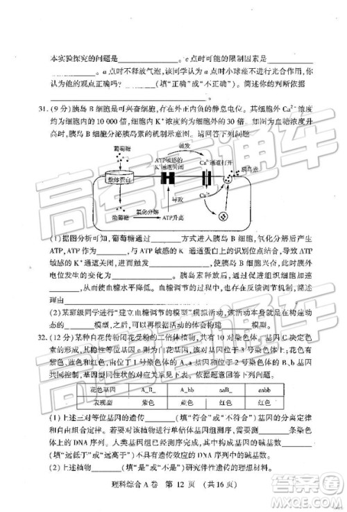 2019年高考模拟豫科名校大联考A卷文理综试题及答案 2019年高考模拟豫科名校大联考A卷文理综试题及答案