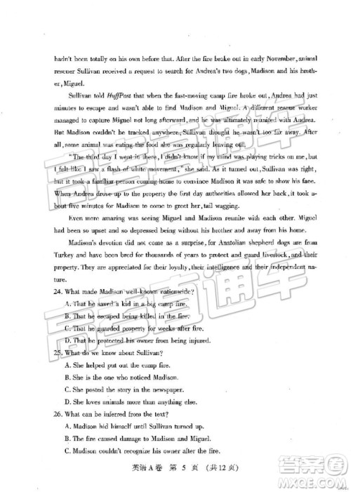 2019年高考模拟豫科名校大联考A卷英语试题及答案 2019年高考模拟豫科名校大联考A卷英语试题及答案