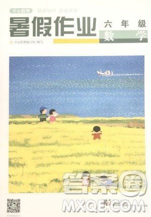 武汉出版社2019开心假期暑假作业六年级数学人教版答案