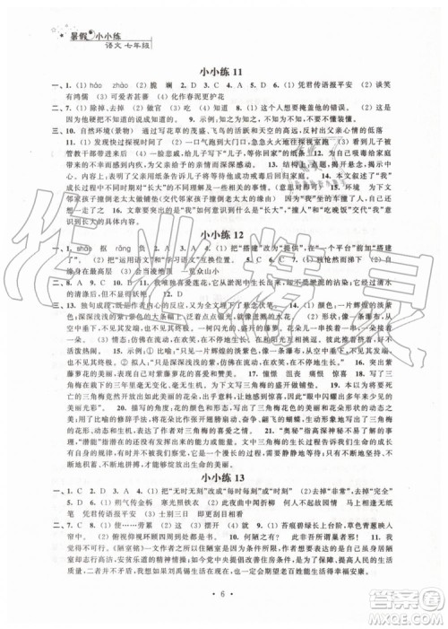 2019年暑假小小练七年级语文数学英语合订本参考答案