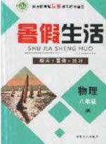 新疆文化出版社2019年暑假生活八年级物理教科版答案