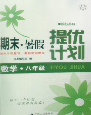 2019新版期末暑假提优计划八年级数学国标苏科版参考答案