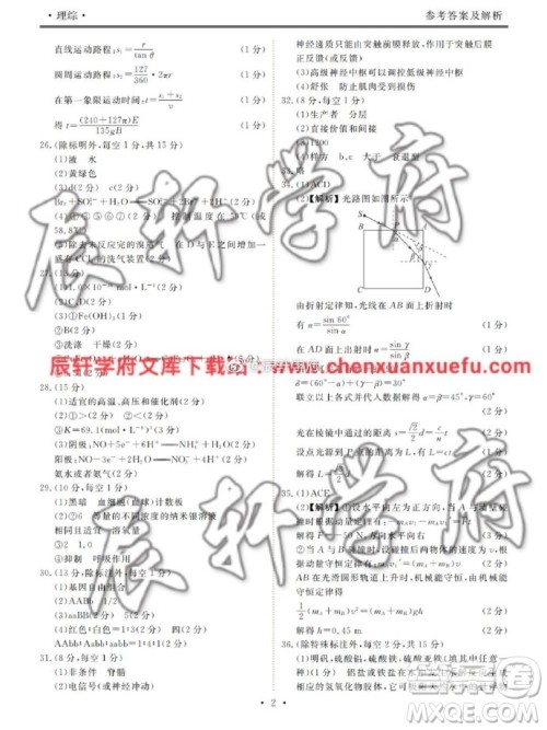 河北衡水中学2020届新高三联考卷一调理综参考答案 河北衡水中学2020届新高三联考卷一调理综参考答案