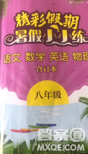 2019年精彩假期暑假小小练八年级语文数学英语物理合订本参考答案