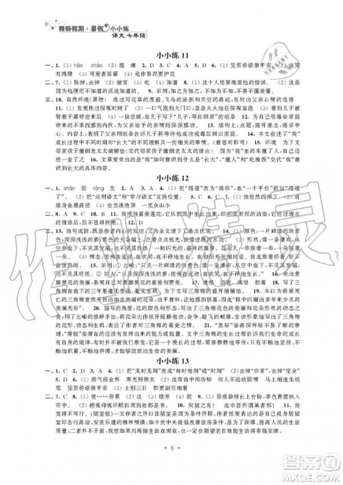 2019年精彩假期暑假小小练七年级语文数学英语合订本答案