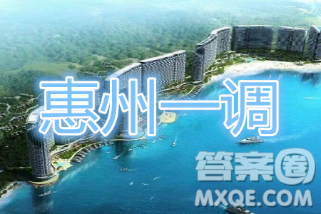 2020届惠州一调理综试卷及答案