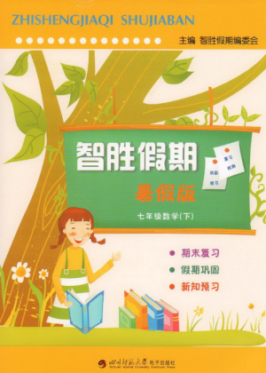 2019年人教版智胜假期暑假版七年级数学下册参考答案 2019年人教版智胜假期暑假版七年级数学下册参考答案