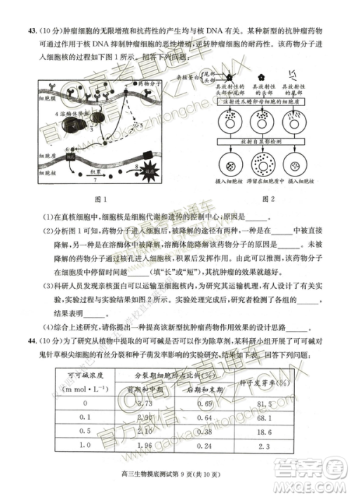 2020届成都零诊生物试卷及答案 2020届成都零诊生物试卷及答案