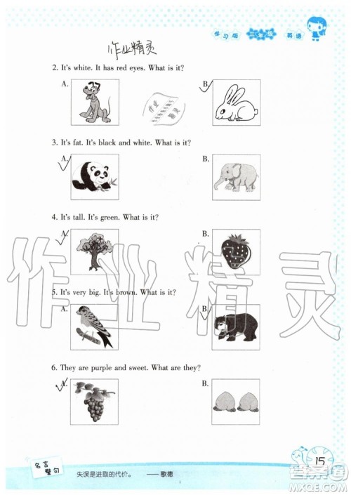 2019年暑假学习与生活假日知新三年级英语学习版参考答案 2019年暑假学习与生活假日知新三年级英语学习版参考答案
