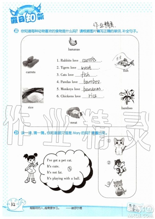 暑假学习与生活2019年假日知新四年级英语学习版参考答案 暑假学习与生活2019年假日知新四年级英语学习版参考答案