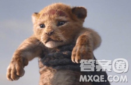 电影狮子王观后感 狮子王电影观后感 电影狮子王观后感 狮子王电影观后感