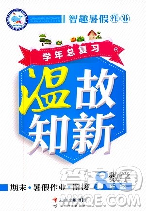 2019年智趣暑假作业学年总复习温故知新8年级数学参考答案